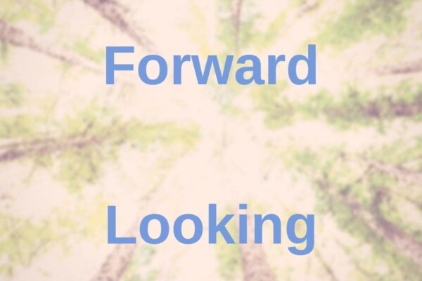 What Is Forward-Looking in Management? Statement & Disclosure